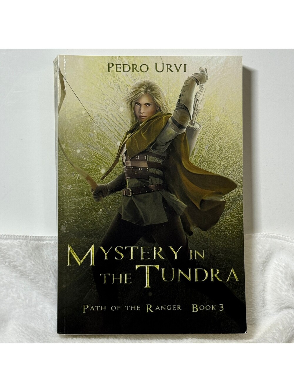 Mystery in the Tundra Path of the Ranger Book 3 Paperback